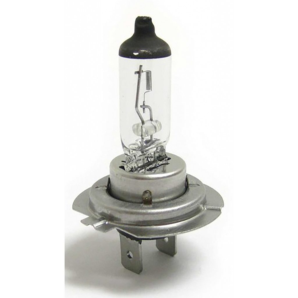 Pera H7 12V 55W